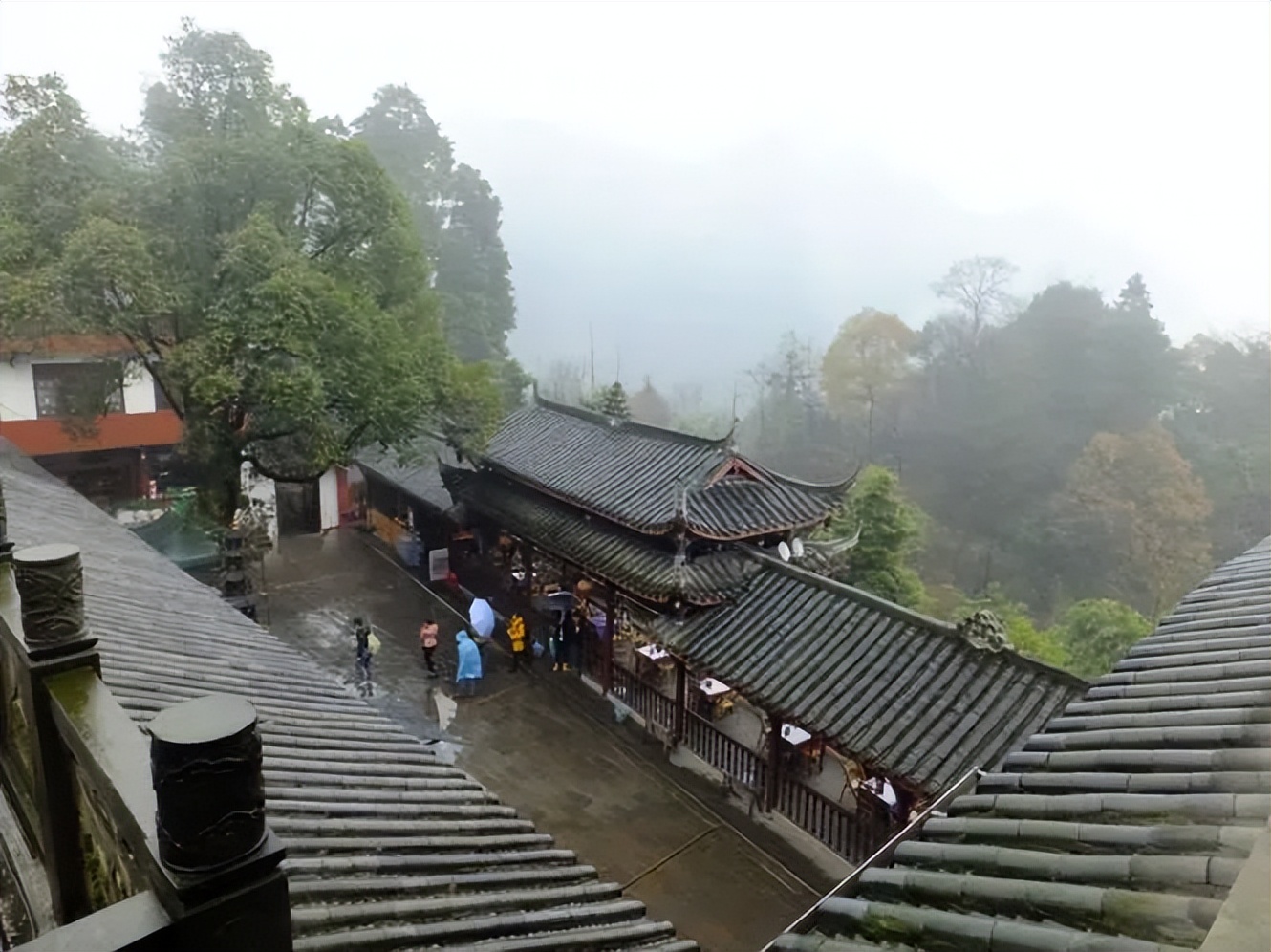 成都到青岛自驾游住宿攻略,成都旅游住宿攻略及费用