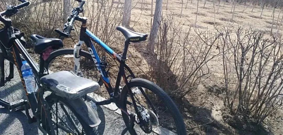 原创|2022迟到的春天之约