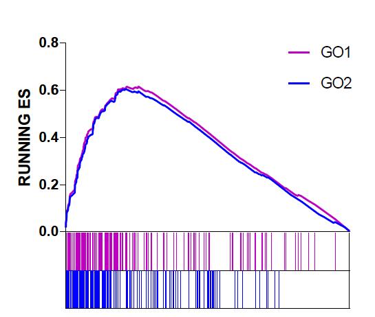 如何理解gsea,gsea安装使用教程