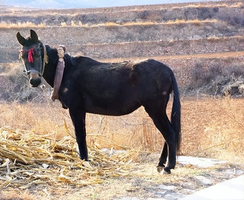 我亲身经历的社会事件作文,社会经历和感悟