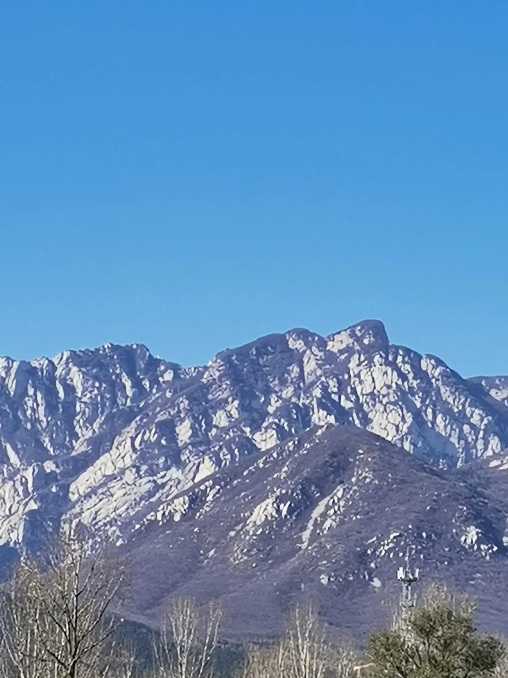 有主见作文素材,结合实际怎样做一个有主见的人