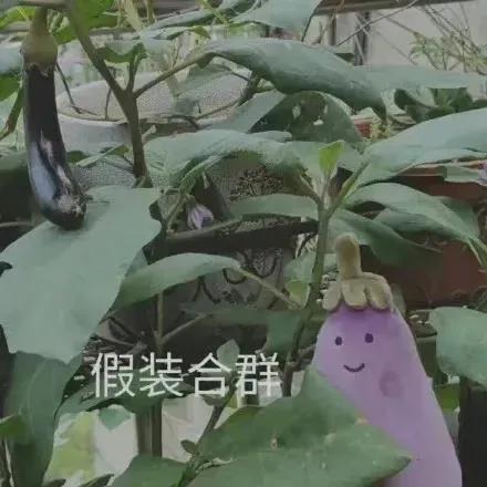别再问女足姑娘啥时候结婚了