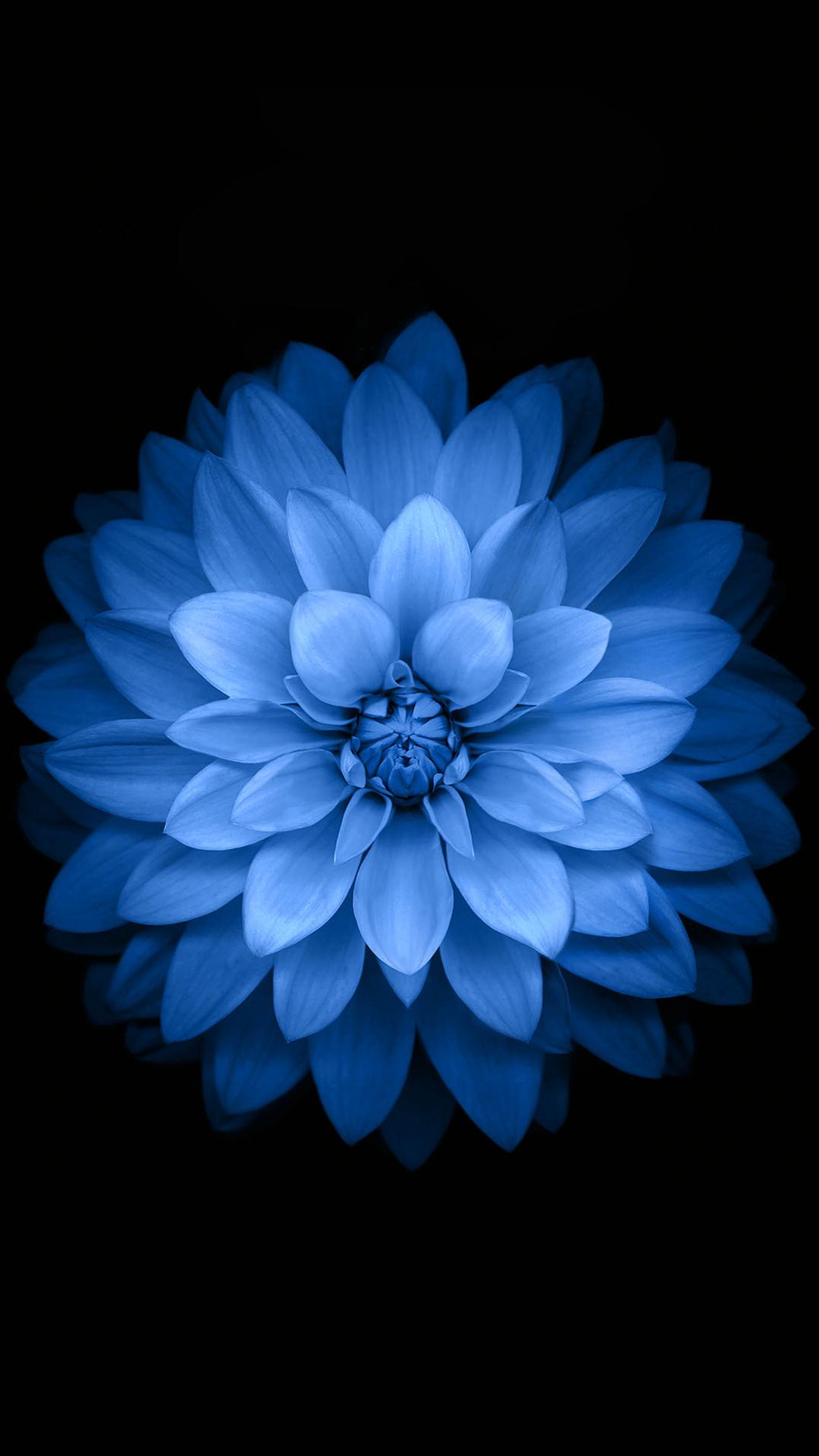 黑色卡通壁纸,黑色锁屏壁纸