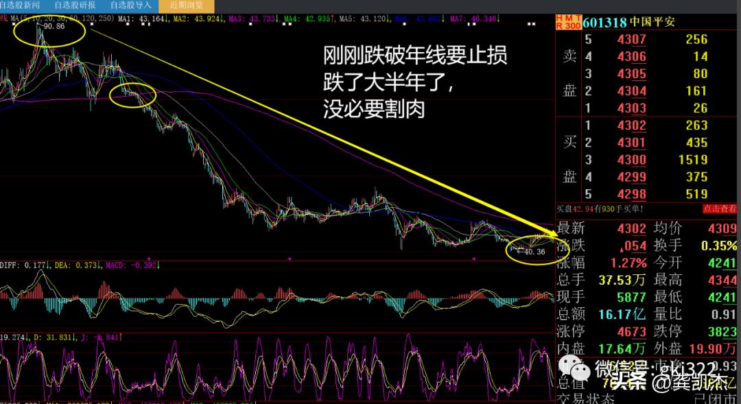 股市交易每日复盘讲评,周末股评