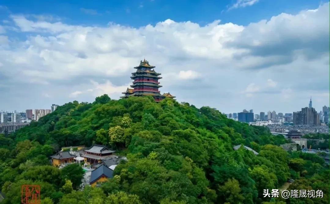 只有南京才有的树,树是南京树