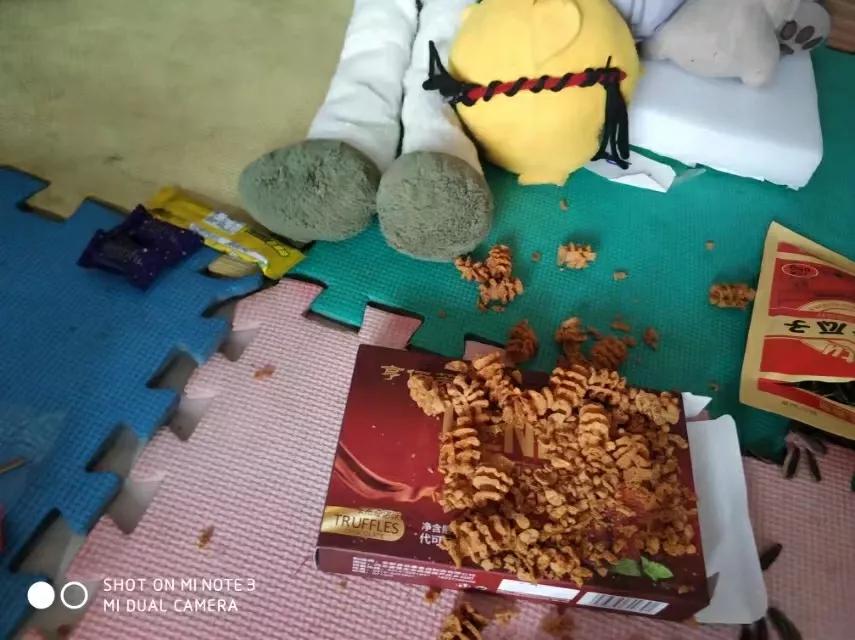 2024年迎新年活动方案,2023迎新年活动主题