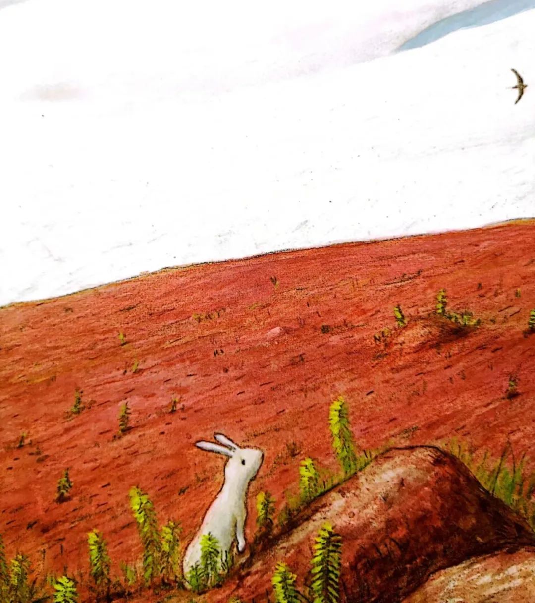 散步绘本,绘本治愈孩子也治愈自己