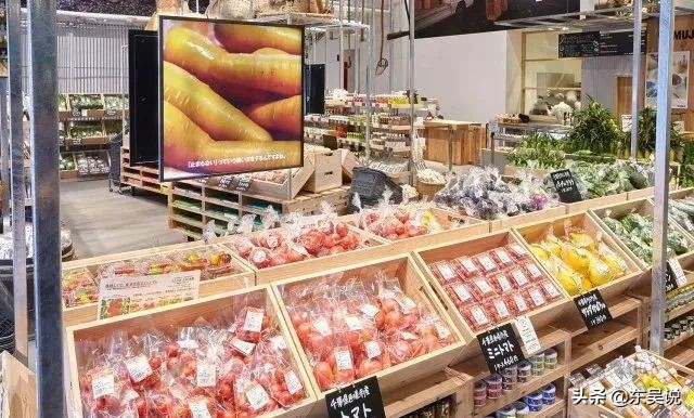 myfarm创新共享农业新模式,日本myfarm共享农场营销模式