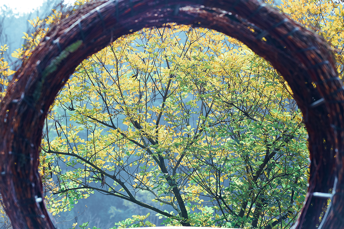 湖光山色美不胜收,湖光山色风景优美