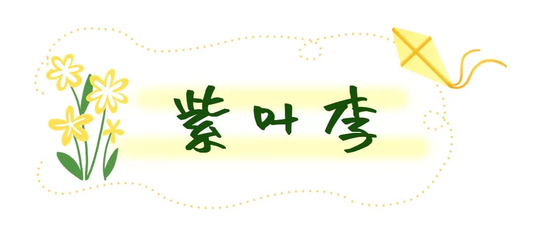 济南这个周末适合哪里赏花,济南春天赏花好去处