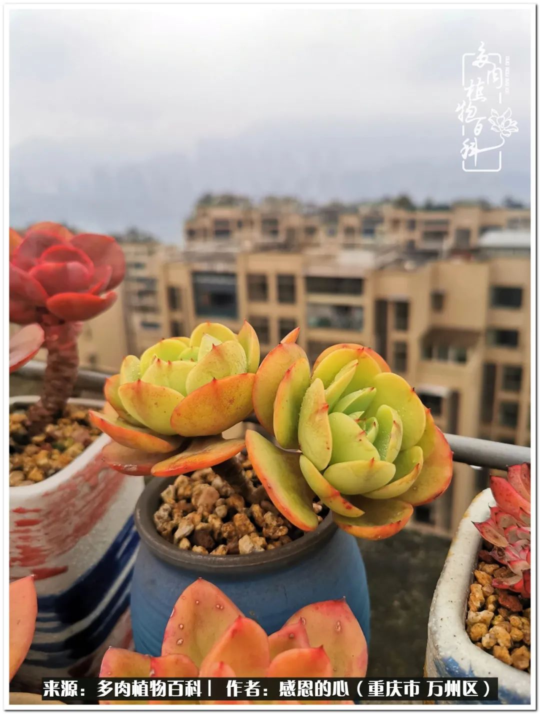 那些不经意却很惊艳的瞬间,不经意间惊艳了时光