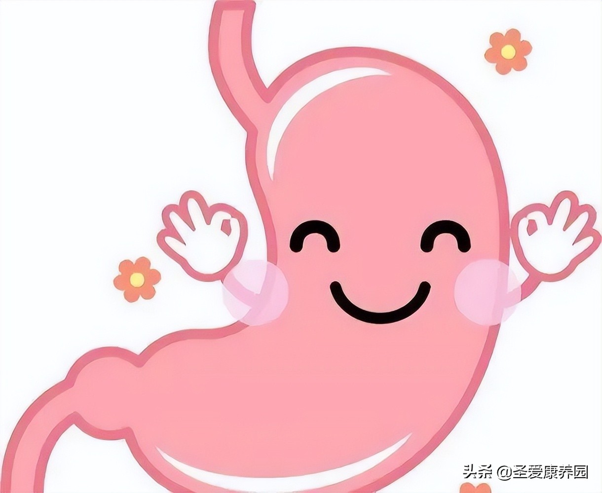 人的胃真的是越撑越大吗,胃为什么越饿越撑越大