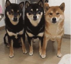 企业管理的病态现象,公司中层管理的十大技巧