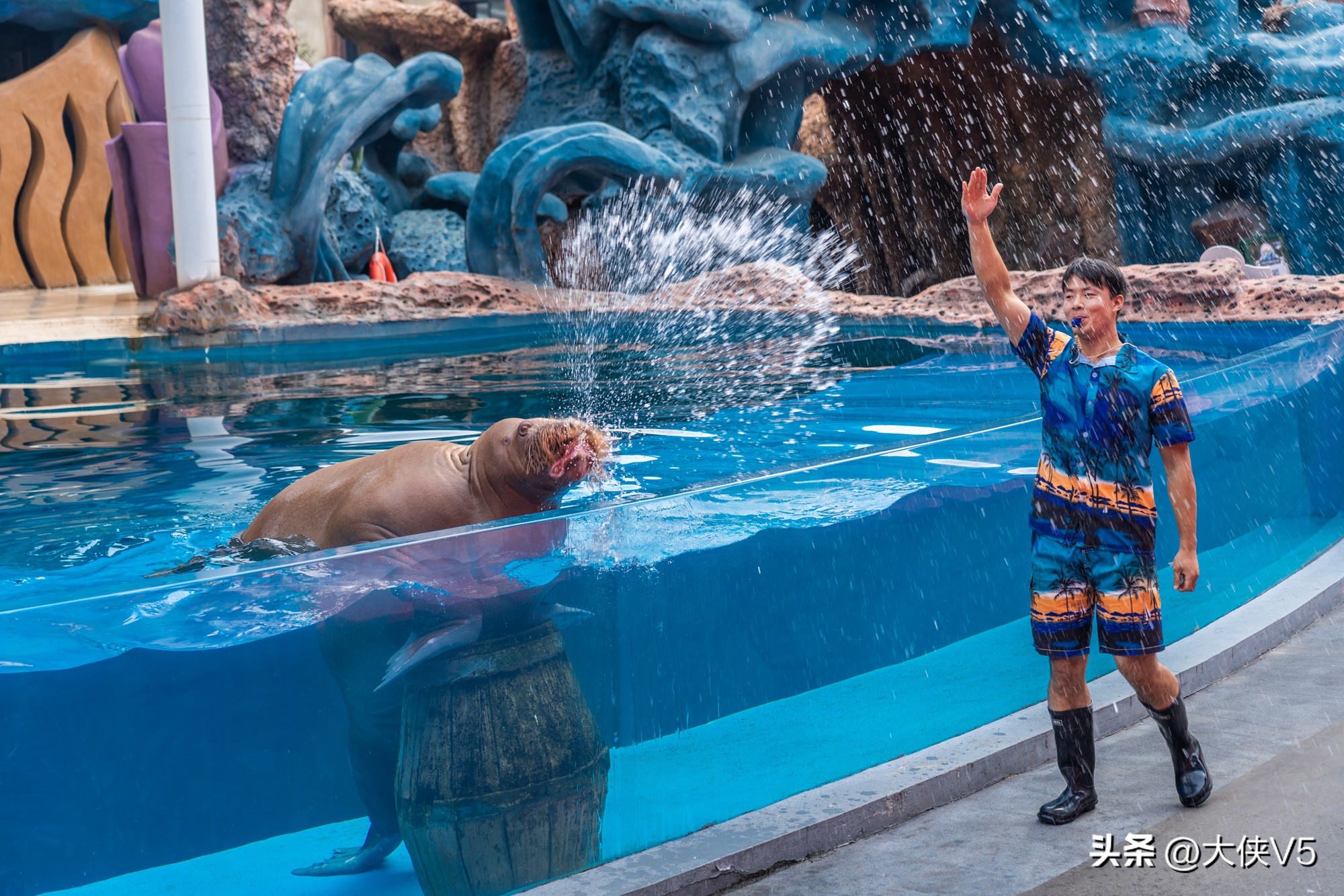 浙东唐诗名城新昌,在新昌邂逅浙东唐诗之路