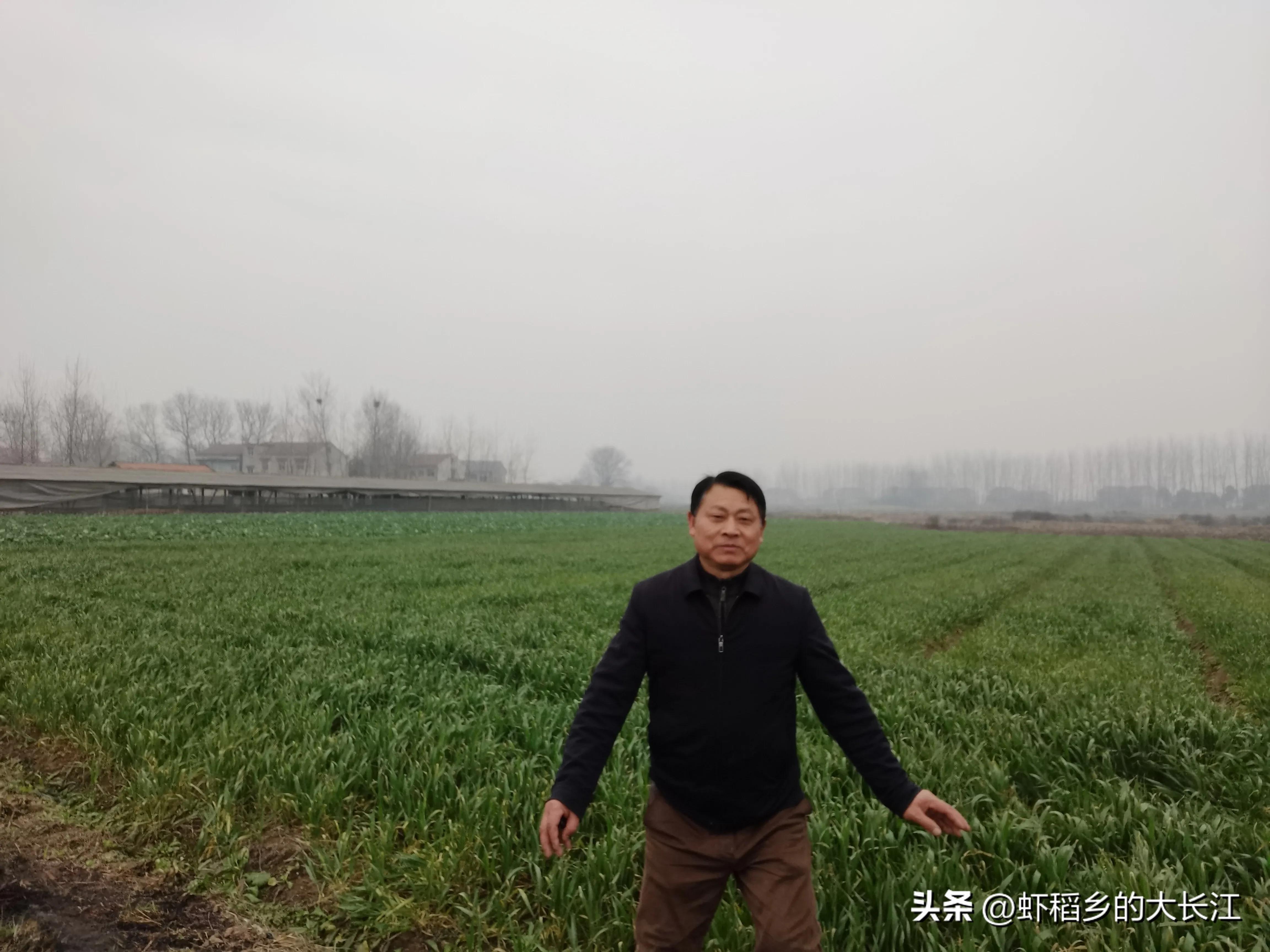 春雷一声响祖国好风光,春雷一声响完整版