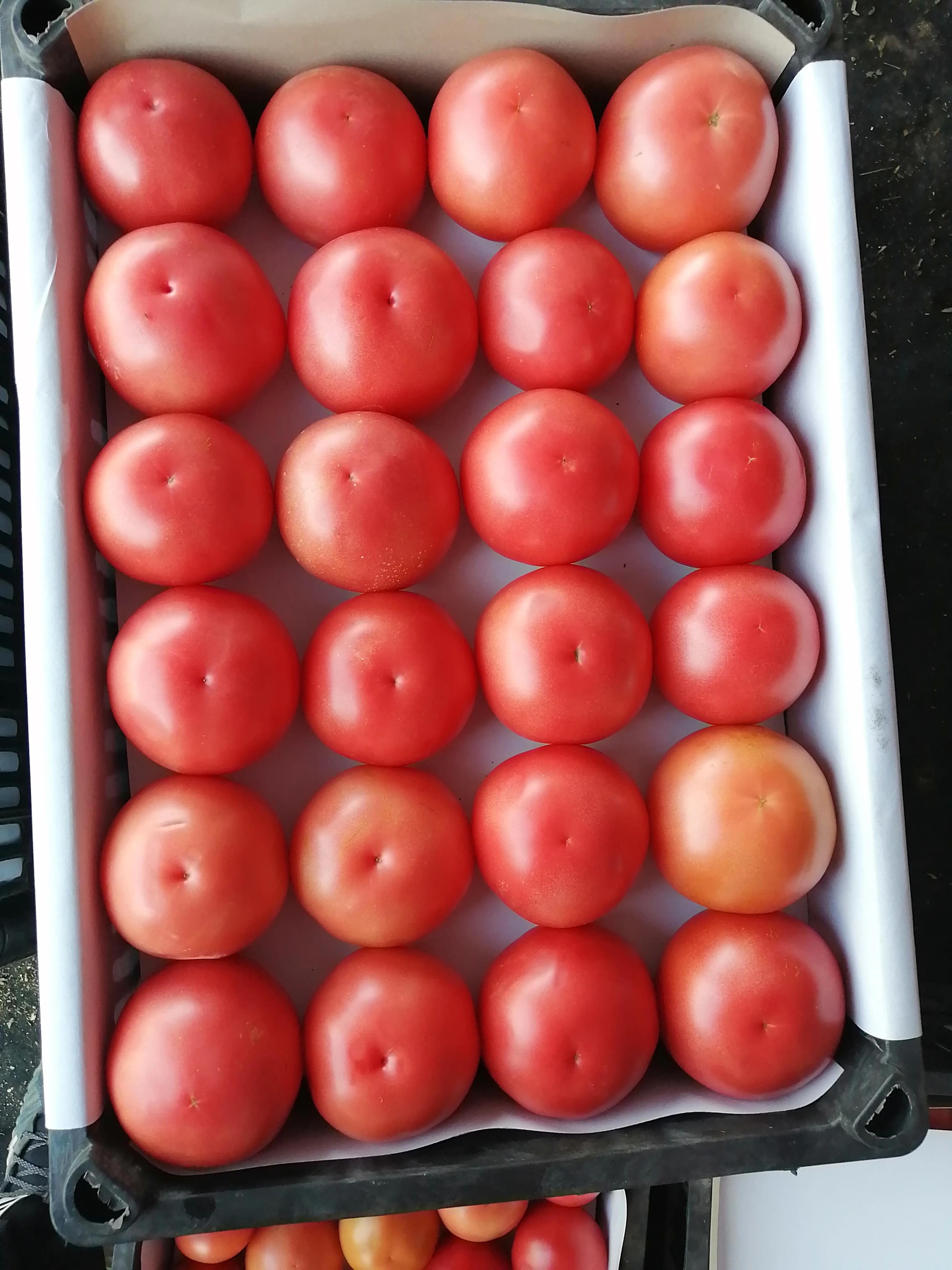 为什么现在农村地里的菜这么贵,菜市场的菜价钱为什么都一样