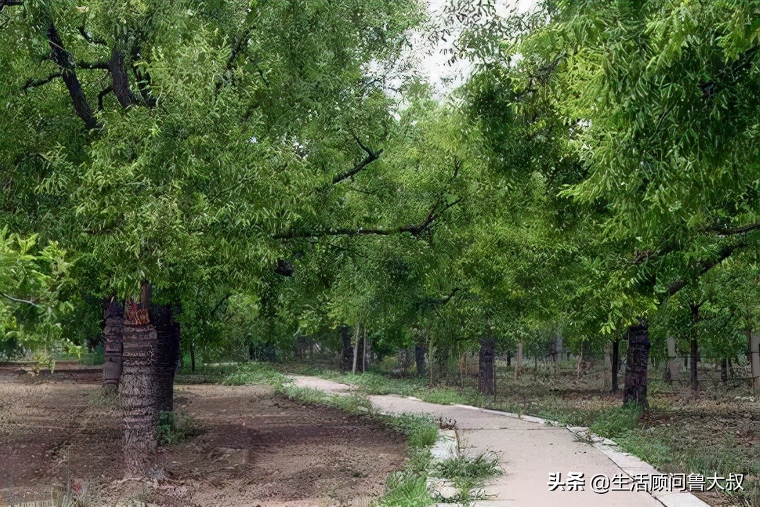 天津文化自然遗产,天津市物质文化遗产名单