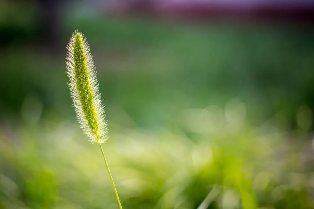 20部国学名著200句总结出的名句,120部名著听书国学精粹合集