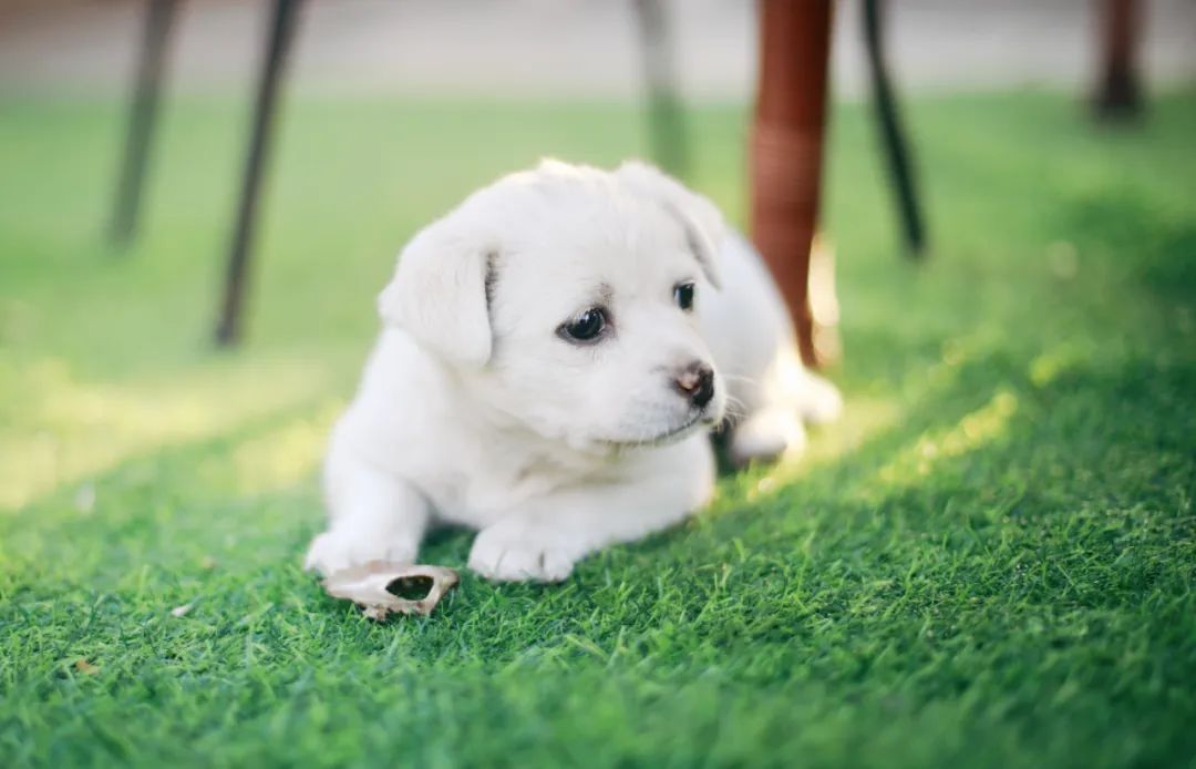 在北京派出所当民警怎么样,派出所当警察