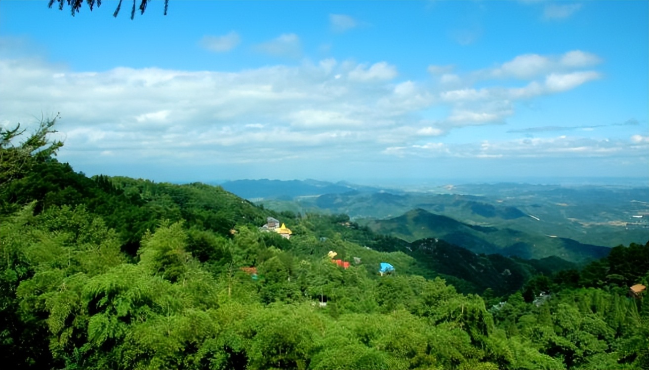 林海山水画作品欣赏,国内十大竹海排名