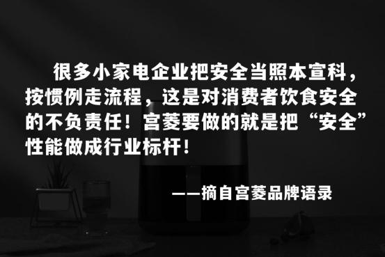 空气炸锅前十名牌子,空气炸锅排名前十名家用