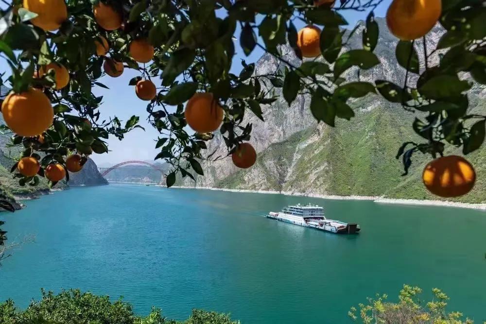 好美麻花辫,高颜值马尾辫少女