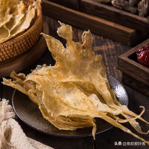 收藏版：全网最全的鱼胶品种，鱼胶品种这么多，你都认识吗？