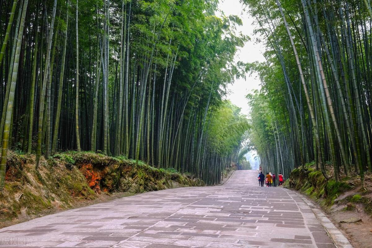 暑假去四川玩旅游攻略,暑假七天四川旅游攻略