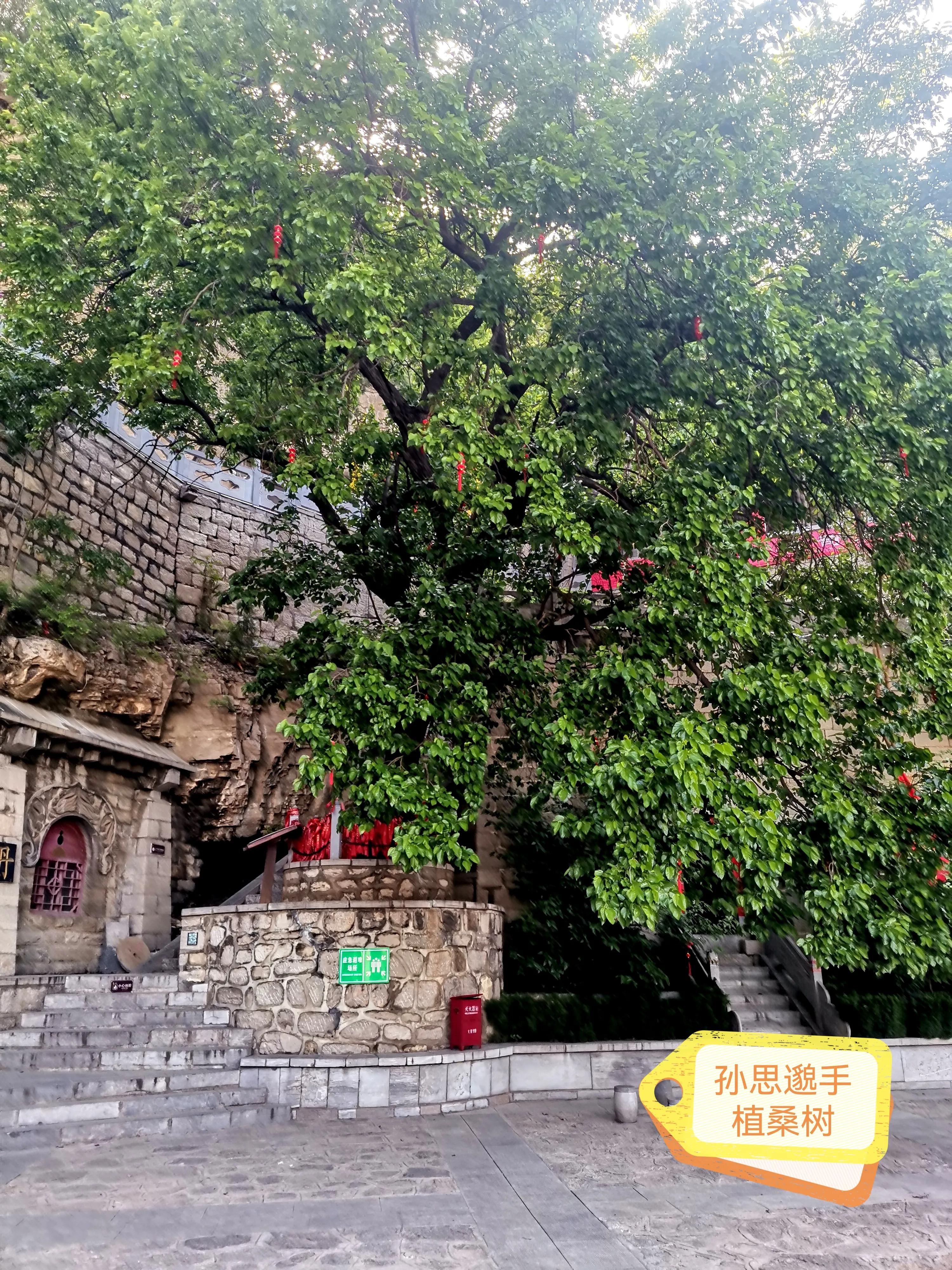 药王孙思邈河南鹤壁五岩山,孙思邈隐居的地方