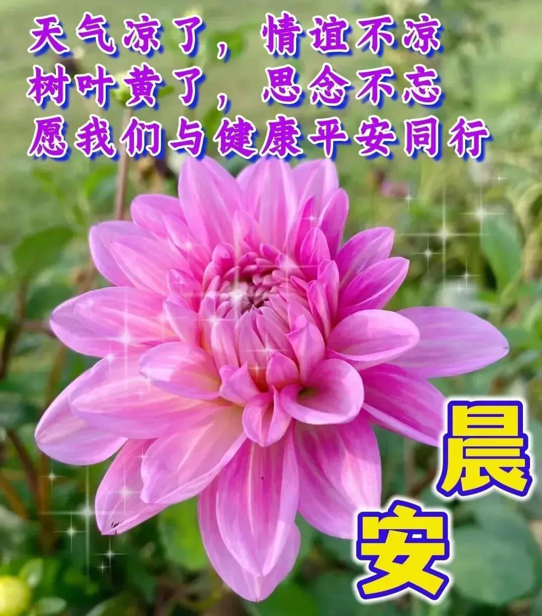 周末早安最漂亮问候图片带字,周三早安正能量图片带字