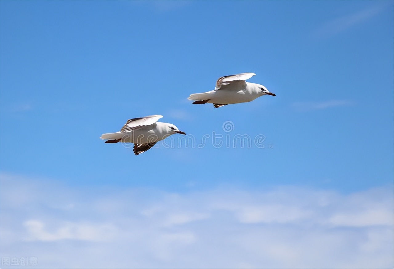 鲜为人知的香港夫妻,鲜为人知的12对歌手夫妻