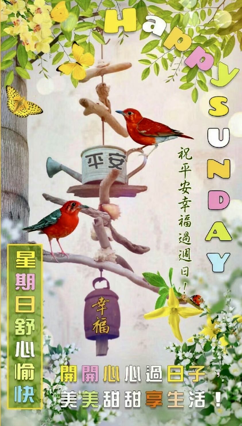 节日快乐照片卡点,节日快乐好好休息图片