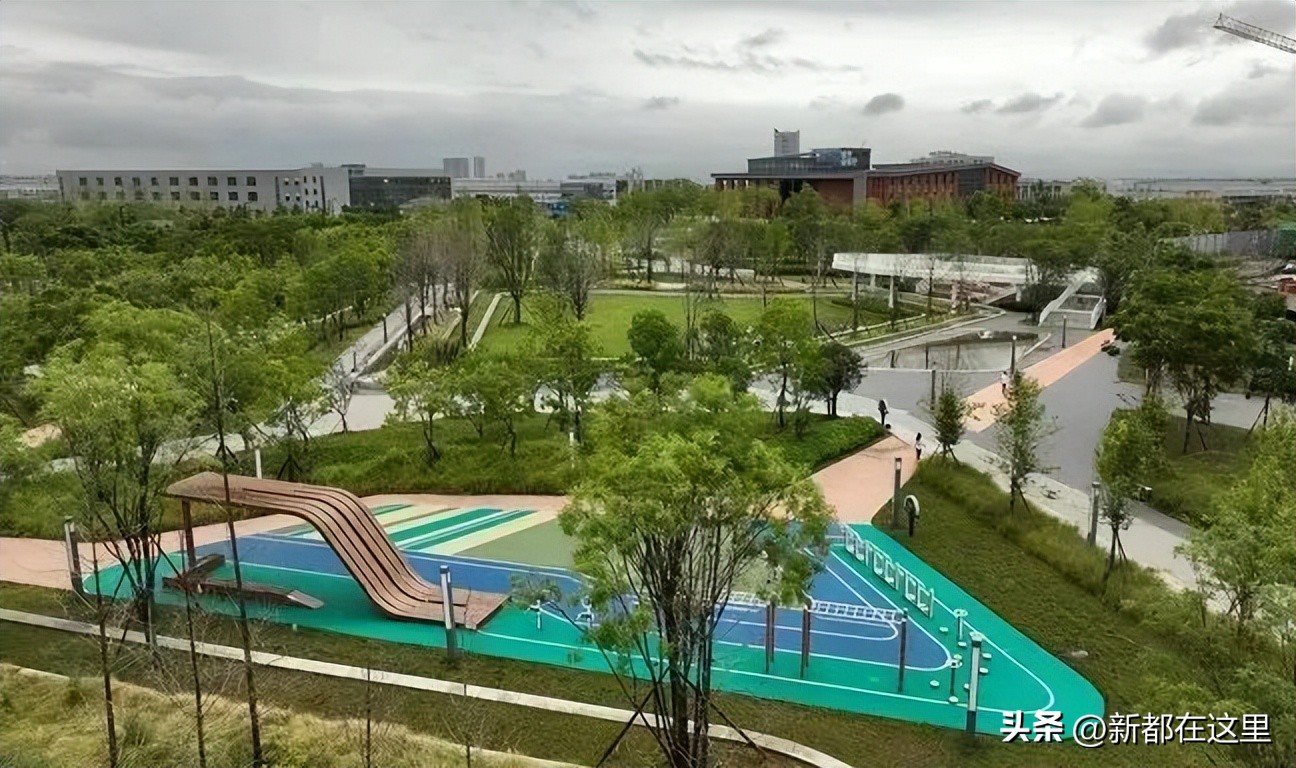 非凡十年路再启新征程,非凡十年铸辉煌踔厉奋发谱新篇