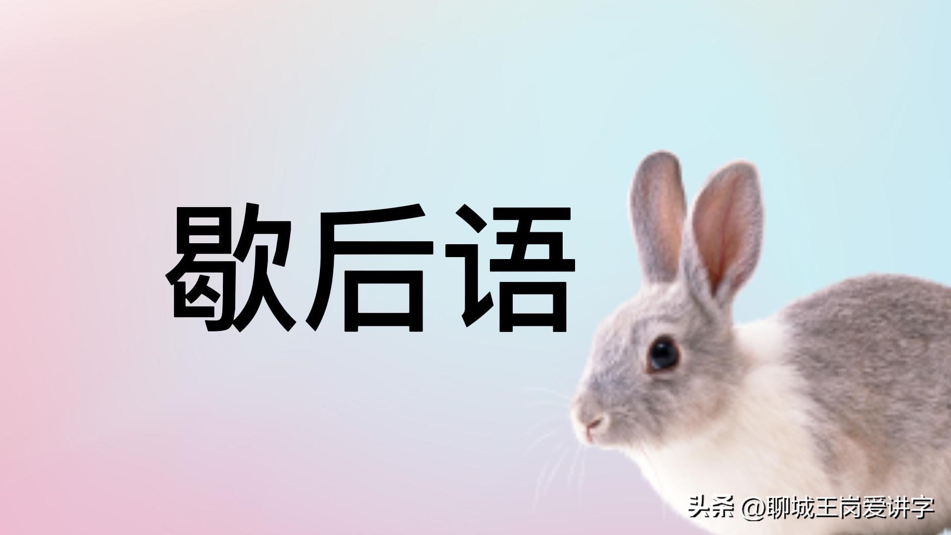 兔年简短对话,兔年互动语言