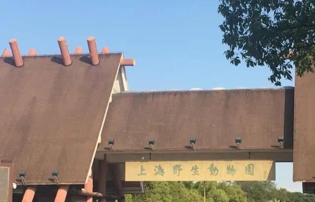 上海旅游景点哪里好玩？