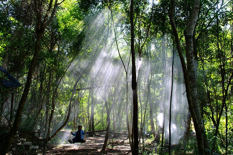请您欣赏广东河源万绿湖风光,河源万绿湖最大景点