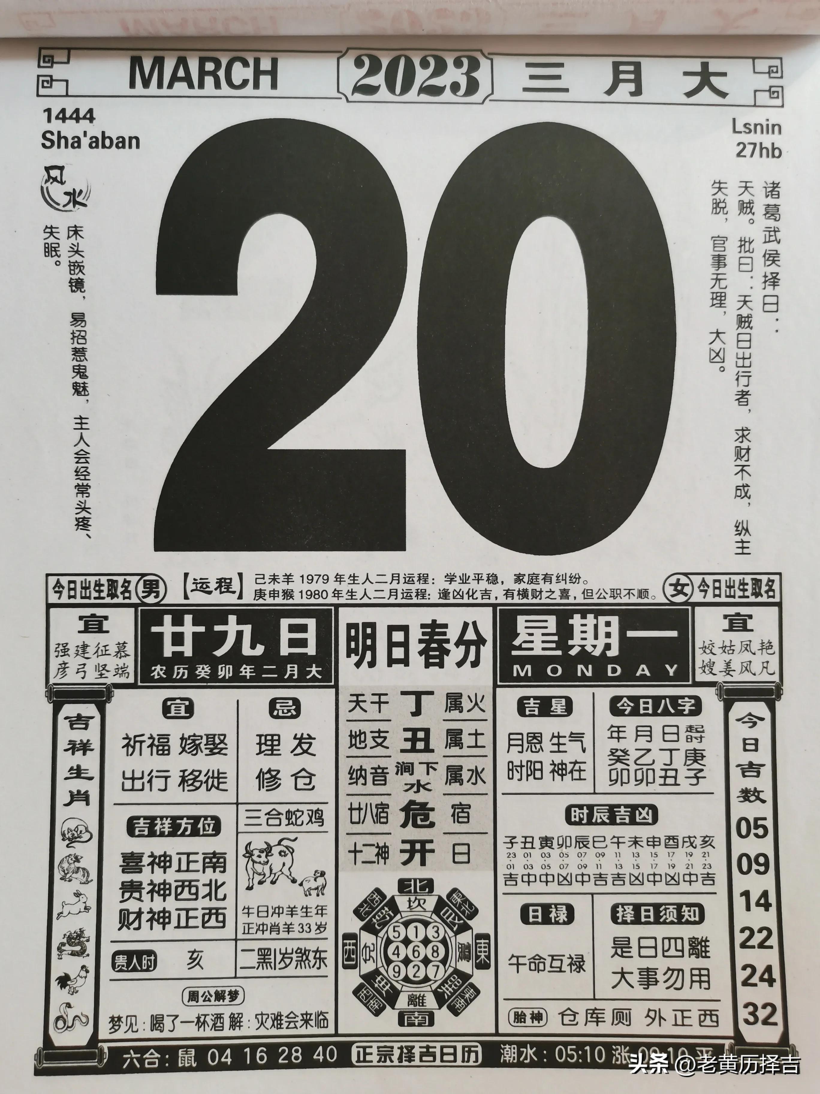 猴子森林系列33：猴非圣贤（附今明二日老黄历图）