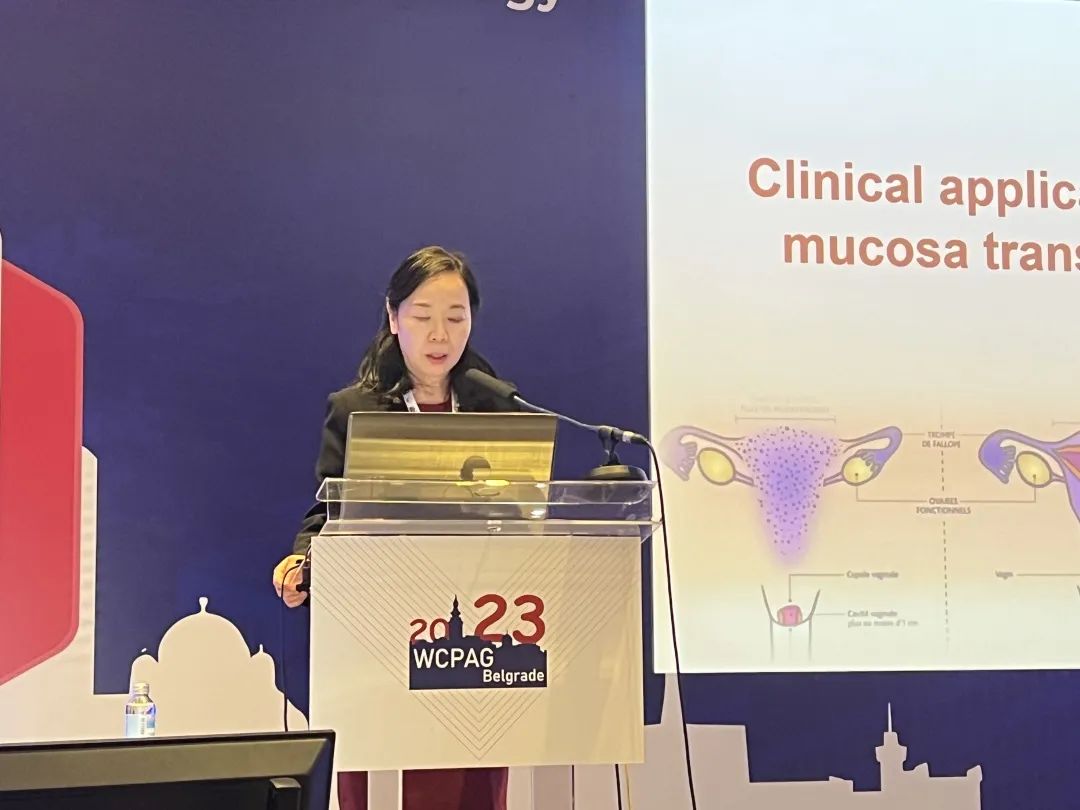 鐢樿們鐪佸骞肩殑濡囩涓撳鍒橀潚,鍒橀潚濡囩