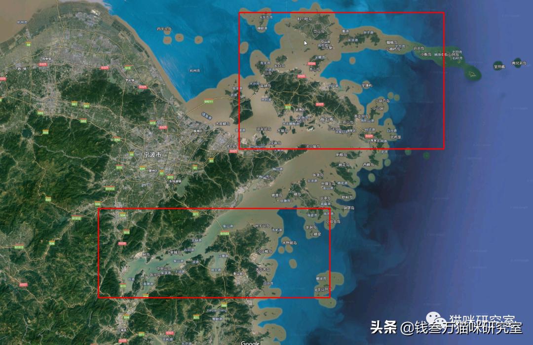 智利贻贝与新西兰青口贝,专门忽悠男人的智商税产品