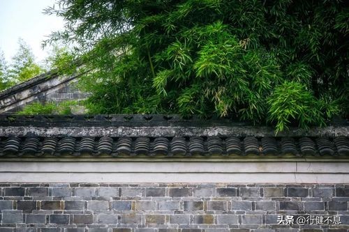 青山诗词经典赏析,关于描写青山的诗句古诗