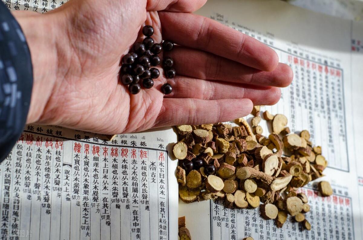 五子衍宗丸能治阳痿吗,五子衍宗丸治阳痿吗