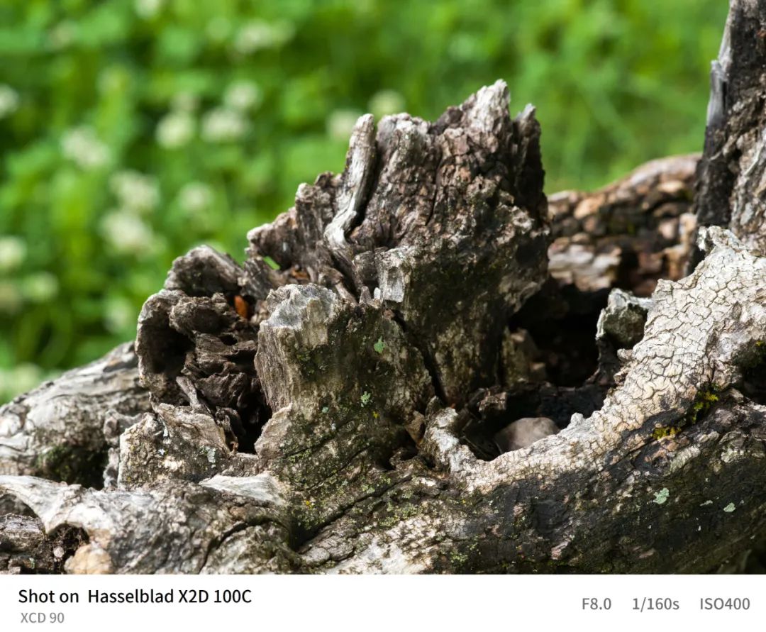 哈苏x2d-100c的三款镜头价格,哈苏x2d100c能不能用佳能ef镜头