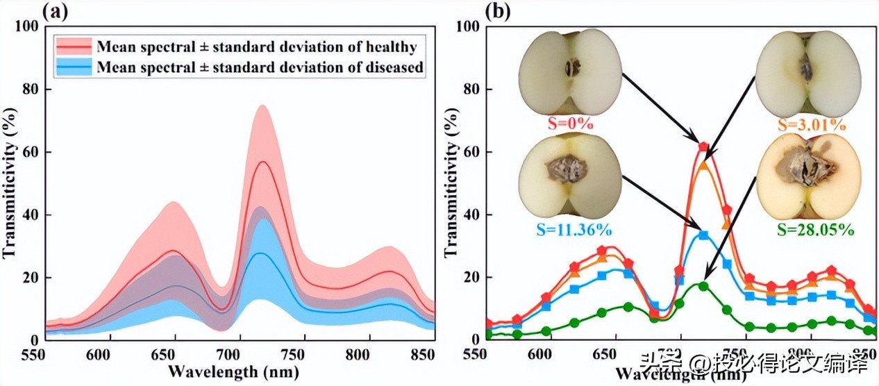 sci写作翻译软件推荐,sci翻译软件哪个最准确率高