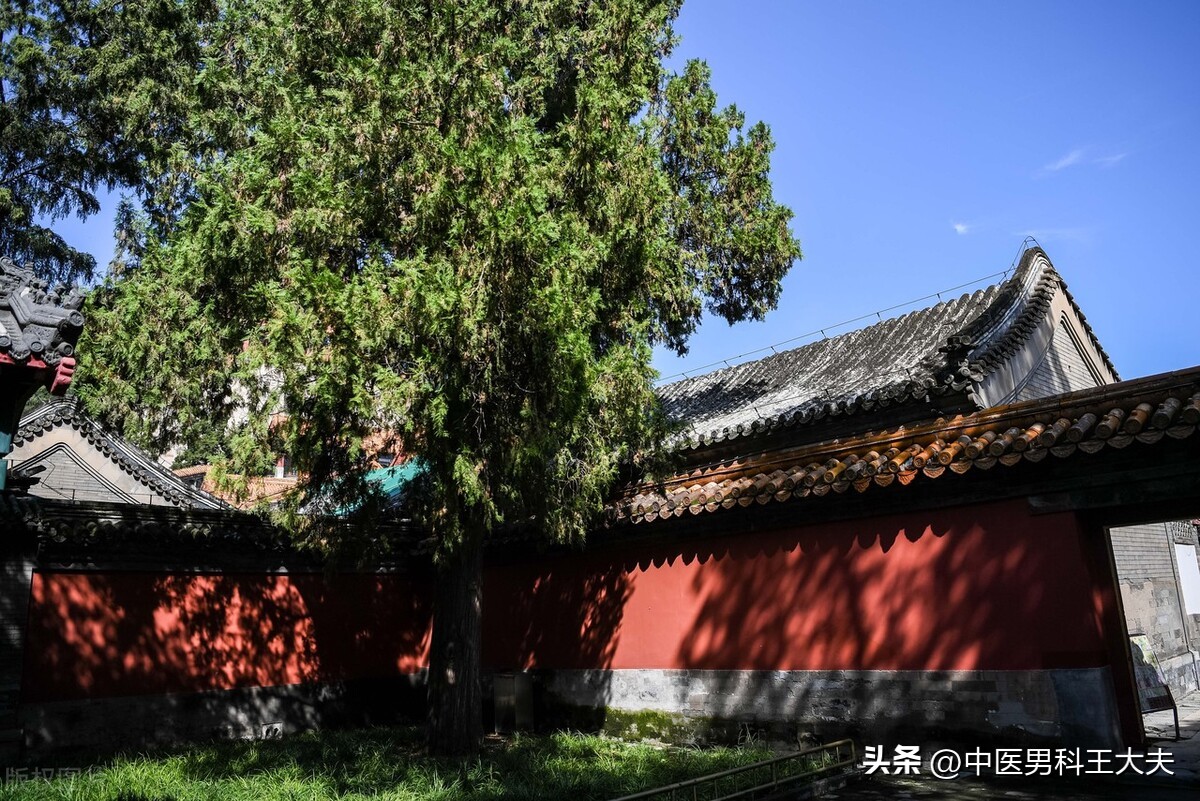 肾虚阳弱怎么治疗早泄,补肾对早泻有用吗