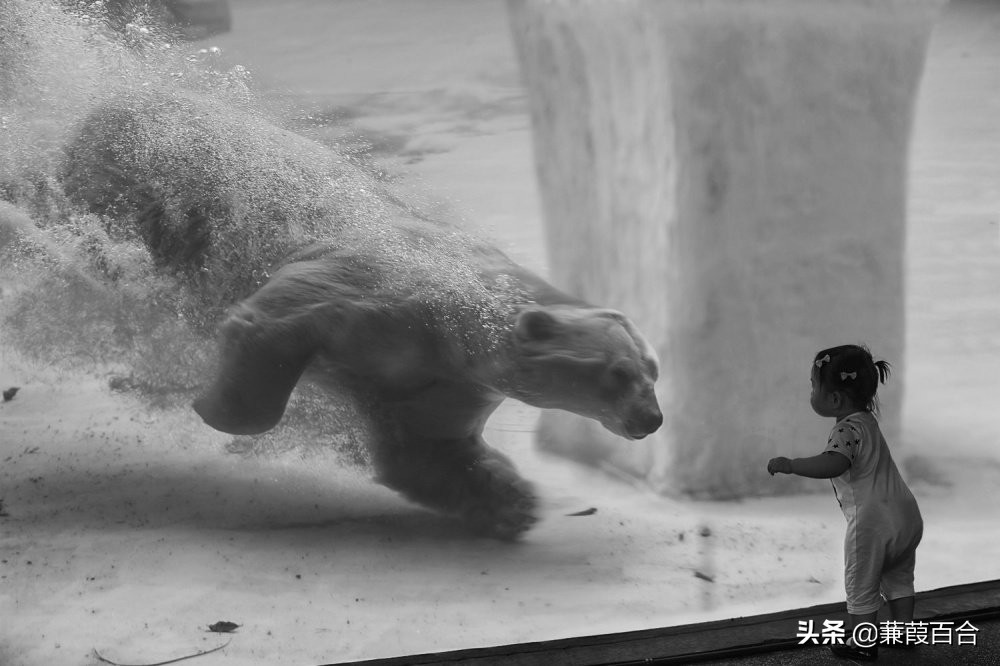 20张罕见又迷人的照片,2021年意大利锡耶纳国际摄影奖