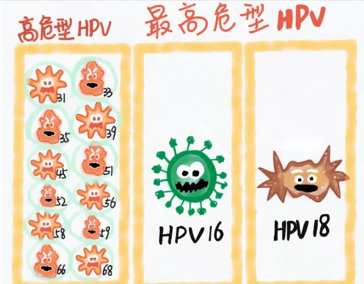 为什么戴套了还是感染hpv？到底有没有用？