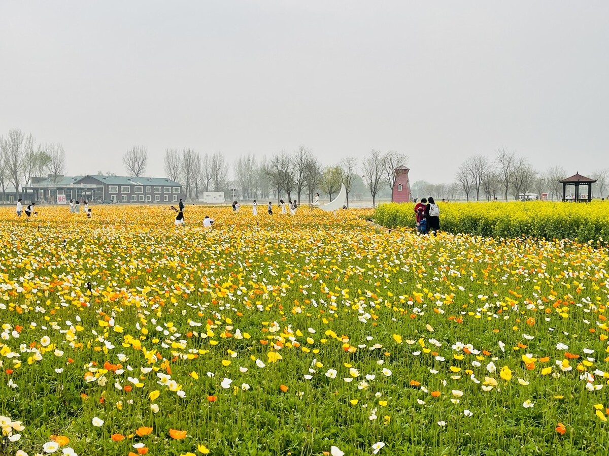 足球竞彩今日推荐半全场,足球竞彩推荐今日欧罗巴