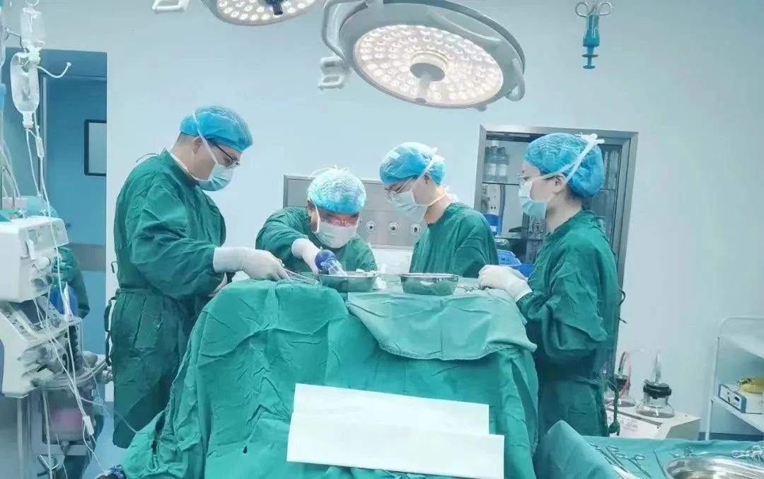 有勇气的医者有担当,医者仁心人生理想