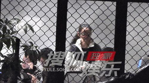 明星艺人确诊阳性,被确诊为阳性的明星