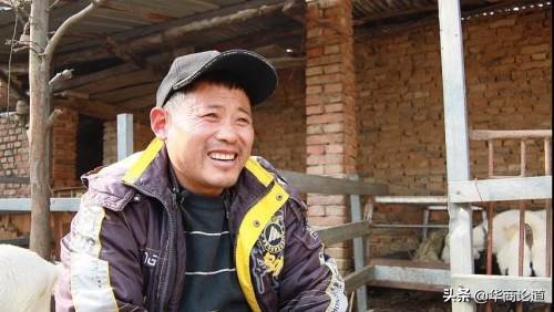 商丘市柘城的白菜挂在网上卖？还有更多致富门路呢